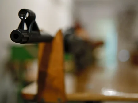 Пневматический тир Учебный