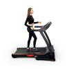 Электрическая беговая дорожка Everyfit 74500B
