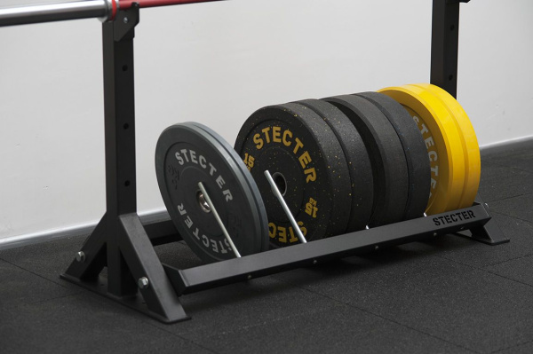 Стеллаж для хранения грифов и дисков 1100-1950