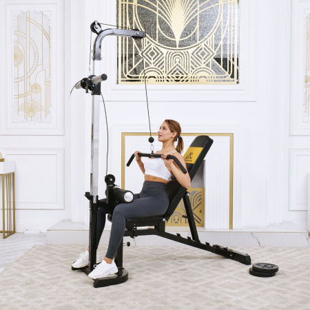 Скамья с вертикальной и горизонтальной тягой Powertec