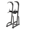 Турник/брусья/пресс AnyFit PEB108