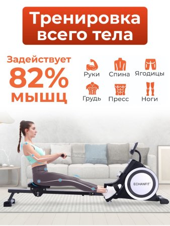 Гребной тренажер DFC ECHANFIT