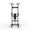 Турник/брусья/пресс Protrain GT-PTR (опция GT-PTR-PDA в комплекте)