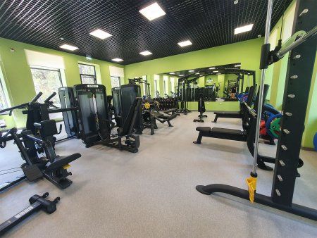 Приведение/отведение бедра SPIRIT SP-3516 со стеком 109 кг