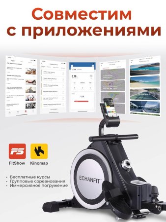 Гребной тренажер DFC ECHANFIT