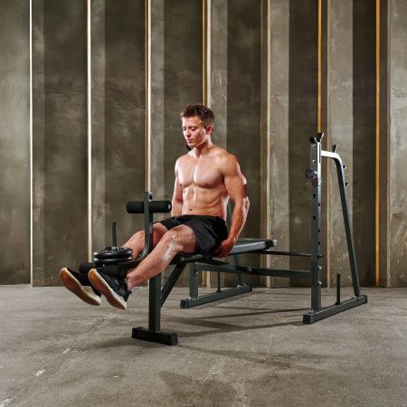 Скамья со стойками под штангу DFC D709