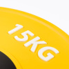 Диск профессиональный обрезиненный (цветной) D51 мм PROFI-FIT 15 кг
