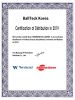 Мел «Ball teck PRO II» (2 шт, в серебристой металлической коробке) синий