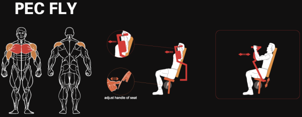 Заголовок: Пек-флай / задняя дельта YOUSTEEL AM8-002AC