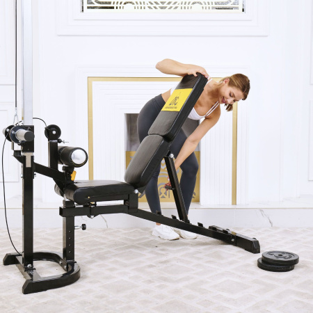 Скамья с вертикальной и горизонтальной тягой Powertec