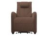 Кресло реклайнер с подъемом FUJIMO LIFT CHAIR F3005 FLWL Терра (Sakura 20)