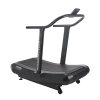 Беговая дорожка Assault AirRunner PRO