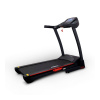 Электрическая беговая дорожка Everyfit 74500B