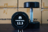 Гантели YOUSTEEL EVO  полиуретановая 12,5