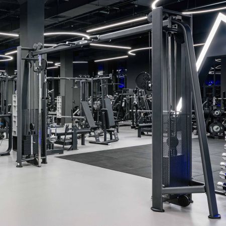 E7016 Кроссовер с изменением высоты. Стек 2x110 кг