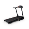 Электрическая беговая дорожка Everyfit 74305B